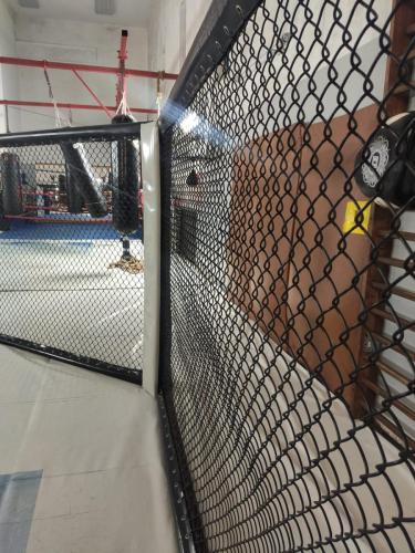 Klatka MMA